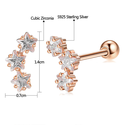 18K Gold Plated 925 Sterling Silver Star Cubic Zirconia Stud Earrings for Women Accessories